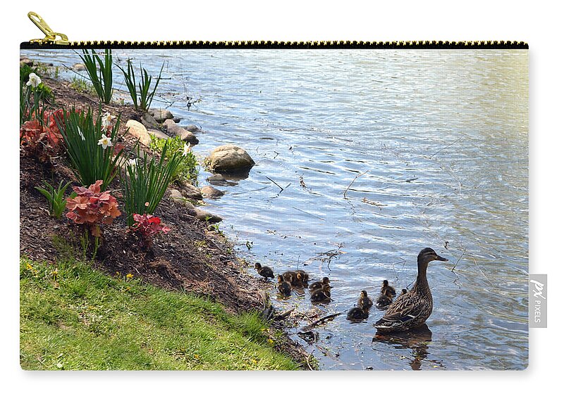 Duck Zip Pouch featuring the photograph Swimming Lessons by Cathy Shiflett