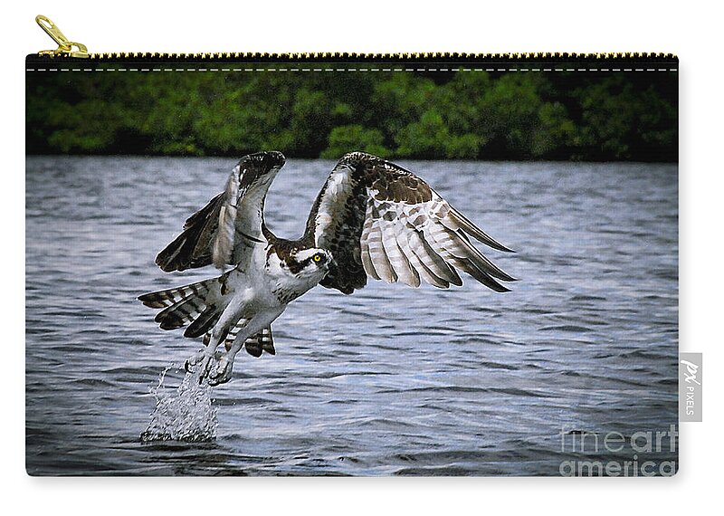 Bird Zip Pouch featuring the photograph Swing and a miss by Quinn Sedam