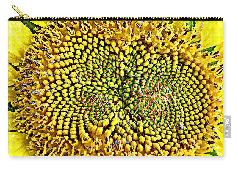 Sunflower Zip Pouch featuring the photograph Swirling Sunflower Bloom by Kim Galluzzo