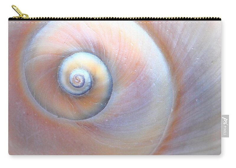 Seashell Zip Pouch featuring the photograph Swirls by Angela Murdock