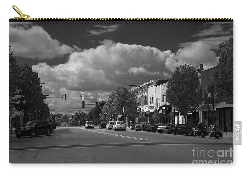 Downtown Zip Pouch featuring the photograph Sycamore in B-W by David Bearden