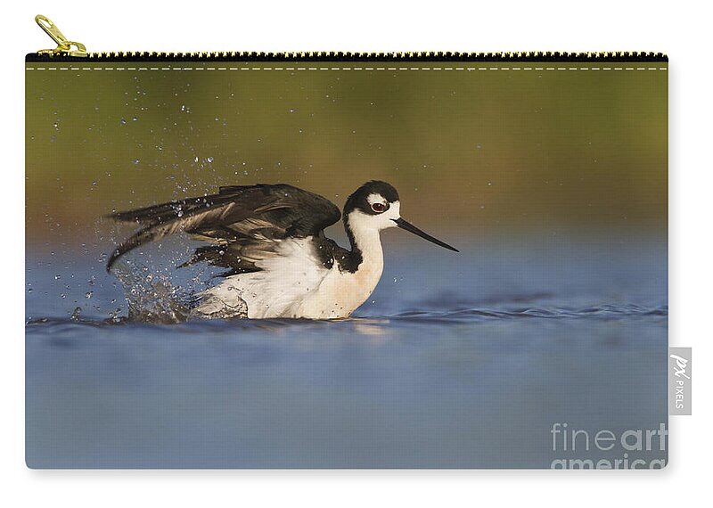 Bird Zip Pouch featuring the photograph Stilt taking a bath by Bryan Keil