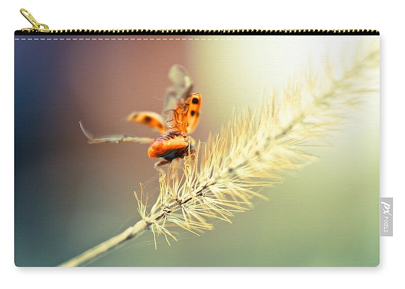 Ladybug Zip Pouch featuring the photograph Taking Flight by Shane Holsclaw