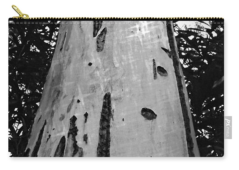 Tree Zip Pouch featuring the photograph Tall by Clare Bevan