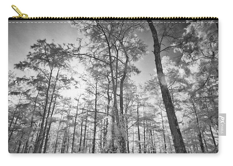 Cypress Zip Pouch featuring the photograph Tall Cypress Trees by Bradley R Youngberg