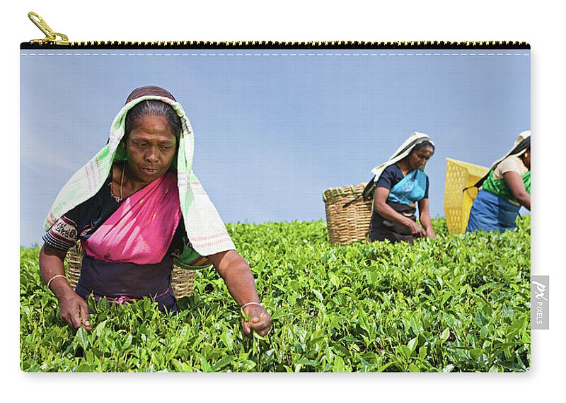 Working Zip Pouch featuring the photograph Tamil Pickers Plucking Tea Leaves On by Hadynyah