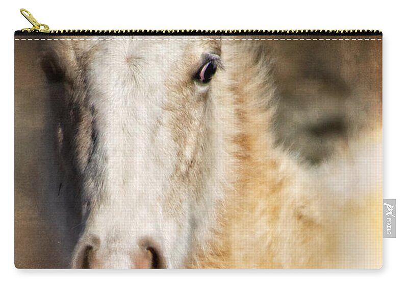Pony Zip Pouch featuring the photograph Taos pony X by Charles Muhle