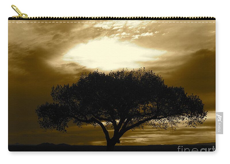 Tree Zip Pouch featuring the photograph Taos Tree by LeLa Becker