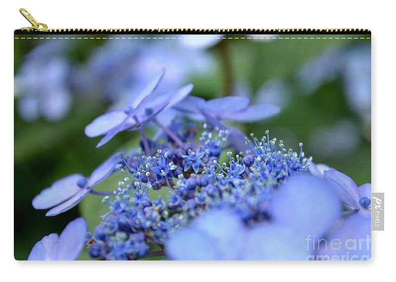 Taube Zip Pouch featuring the photograph Taube Lacecap Hydrangea by Scott Lyons