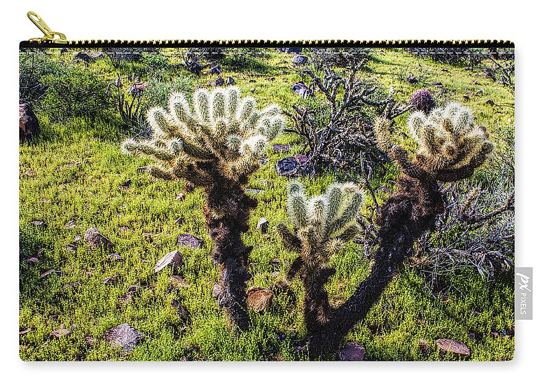 Fred Larson Zip Pouch featuring the photograph Teddy-bear Cholla by Fred Larson