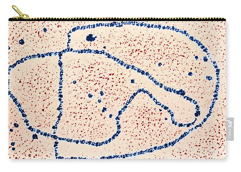 Dna Zip Pouch featuring the photograph Tem Of Dna Replication by Biology Pics