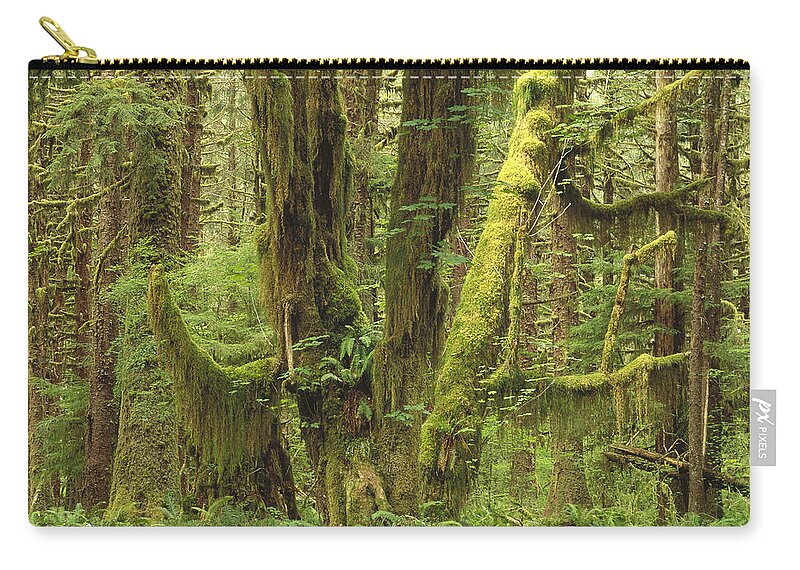 Feb0514 Carry-all Pouch featuring the photograph Temperate Rainforest Queets River Valley by Gerry Ellis