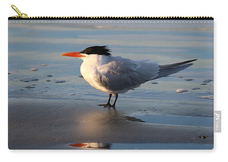 Tern Zip Pouch featuring the photograph Tern on the Beach by Christy Pooschke