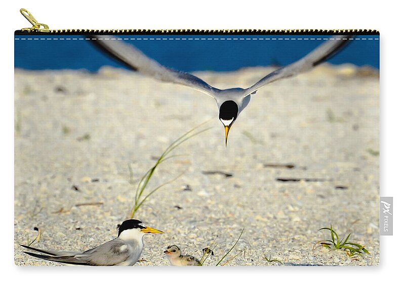 Least Tern Zip Pouch featuring the photograph Tern Over by AnnaJo Vahle
