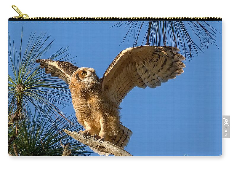 Bradenton Zip Pouch featuring the photograph Testing Wings by Sue Karski