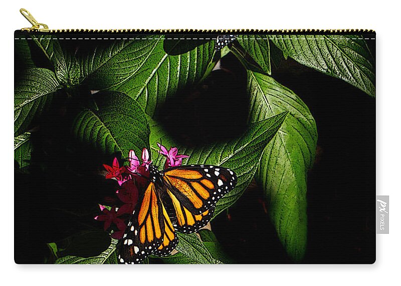 Monarch Butterfly Canvas Print Zip Pouch featuring the photograph Texas Bred by Lucy VanSwearingen