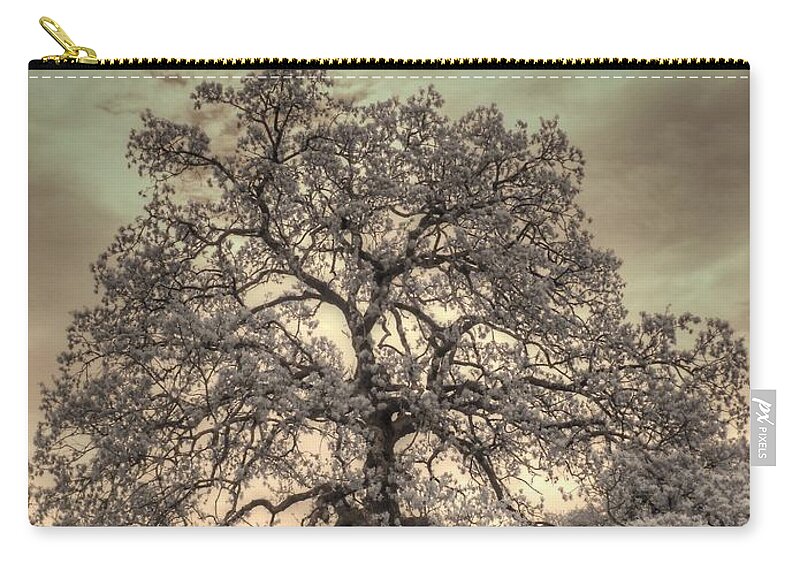 Texas Oak Zip Pouch featuring the photograph Texas Oak Tree by Jane Linders