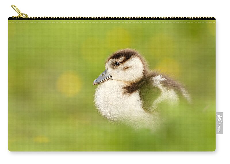  Egyptian Goose Zip Pouch featuring the photograph The Gosling in the Grass by Roeselien Raimond