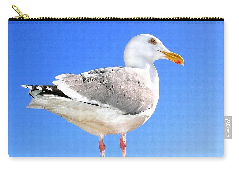 The Admiral 2 Zip Pouch featuring the photograph The Admiral 2 by Will Borden
