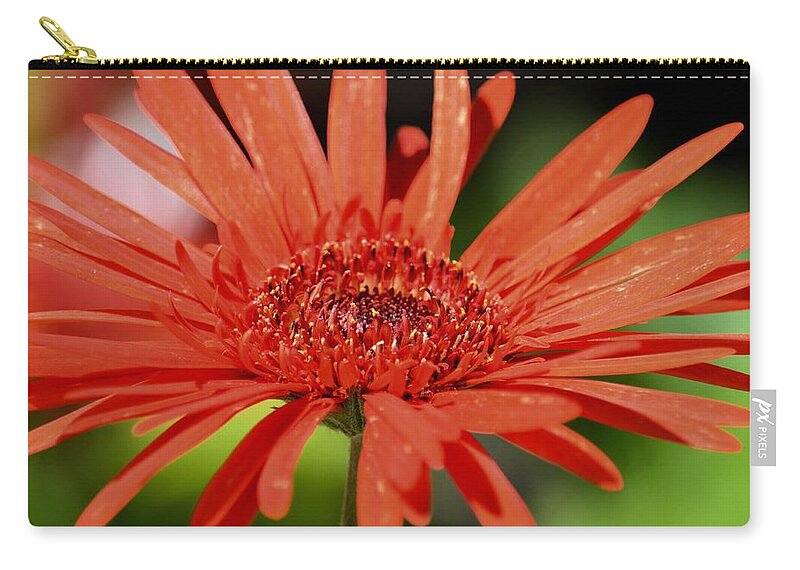 The Awakening Zip Pouch featuring the photograph The Awakening by Maria Urso