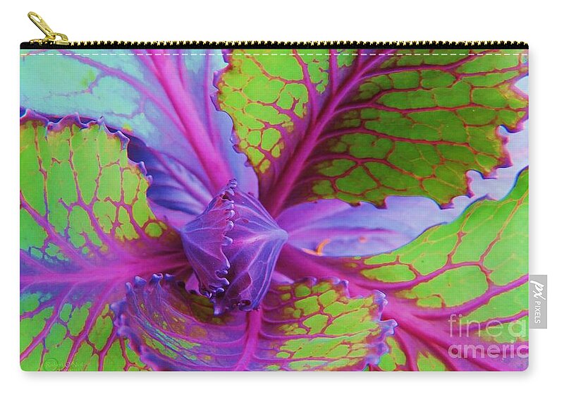 Edibles Zip Pouch featuring the photograph The Beauty Of Cabbage 001 by Robert ONeil