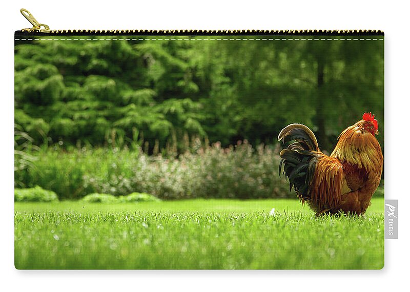 Grass Zip Pouch featuring the photograph The Chicken Walk by Tracie Bridgeland