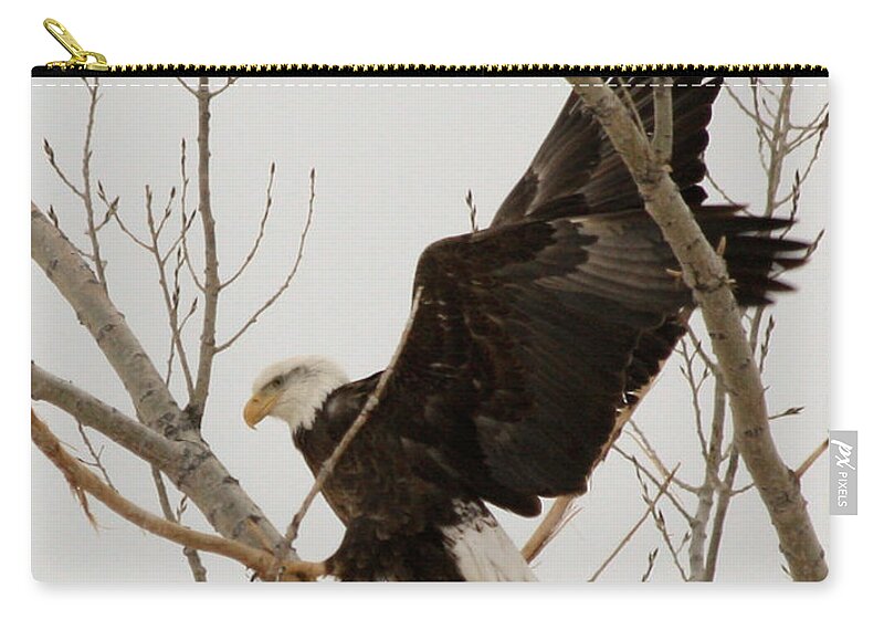 Bald Eagle Zip Pouch featuring the photograph The Climb #2 by Shane Bechler