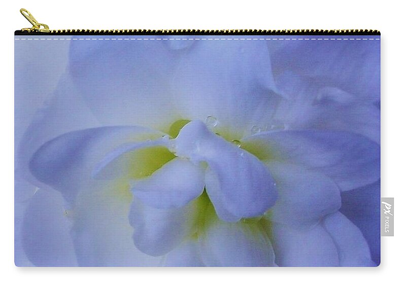 Bloom Zip Pouch featuring the photograph The Color of Rain by Sharon Ackley