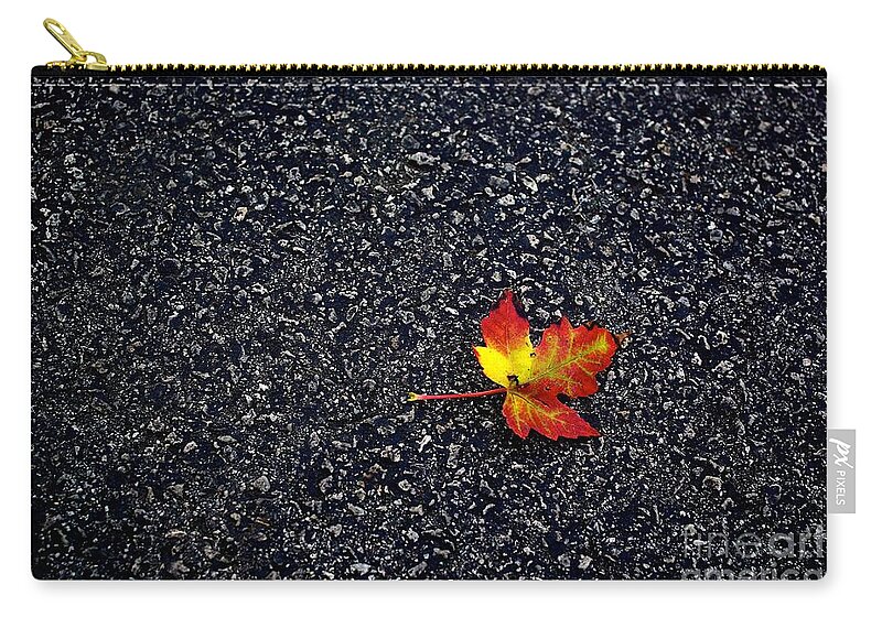 Photo Zip Pouch featuring the photograph The Colors of Autumn by Frank J Casella