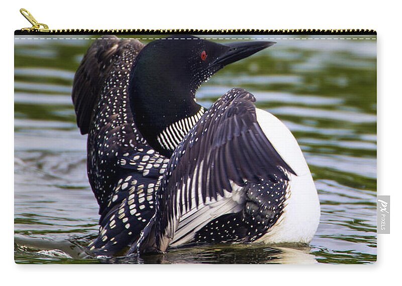 Bird Zip Pouch featuring the photograph The Common Loon by Bill and Linda Tiepelman