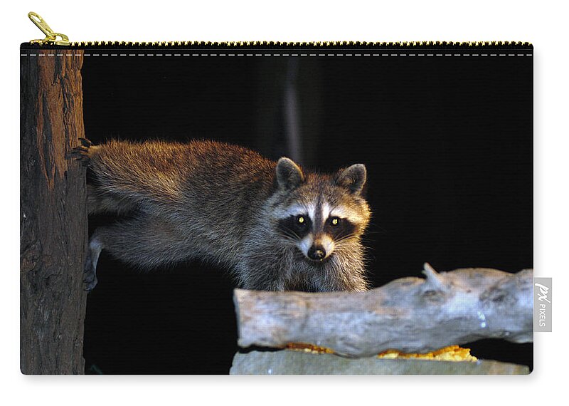 Raccoon Zip Pouch featuring the photograph The Cornbread bandit Homestretch by Randall Branham