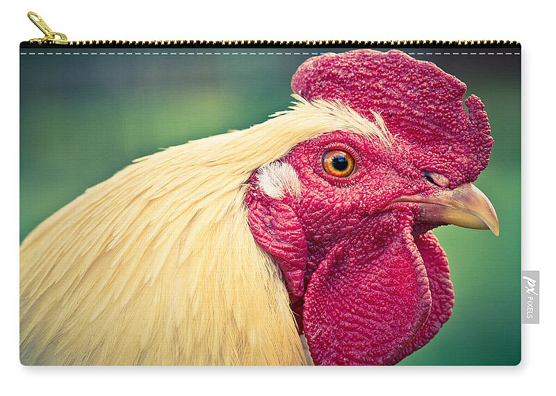The Crazy Chicken Zip Pouch featuring the photograph The Crazy Chicken by Priya Ghose