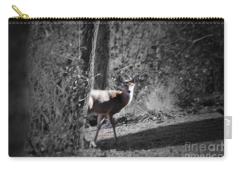 Deer Zip Pouch featuring the photograph The Deer by Jost Houk