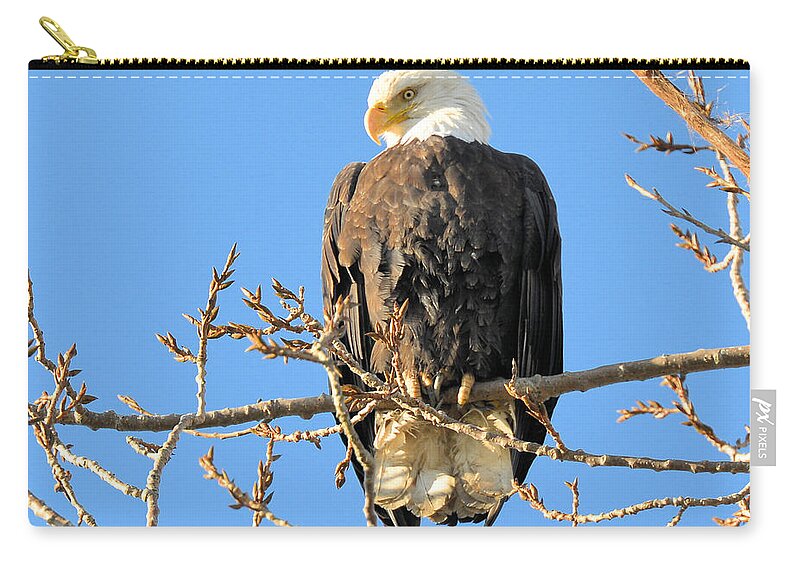 Eagle Zip Pouch featuring the photograph The Eagle Has Landed by Lawrence Christopher