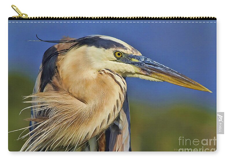 Blue Heron Zip Pouch featuring the photograph The Eye of Blue by Deborah Benoit