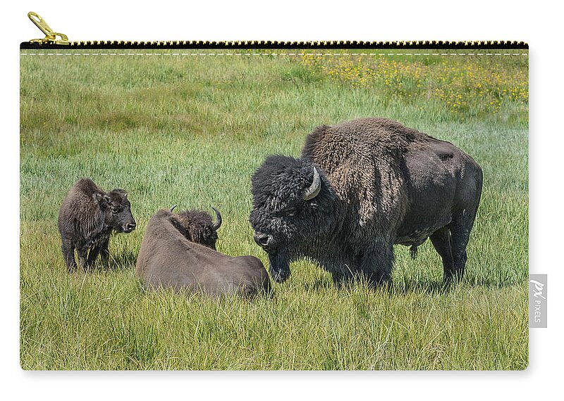 The Family Of Three Zip Pouch featuring the photograph The Family of Three by Randall Branham