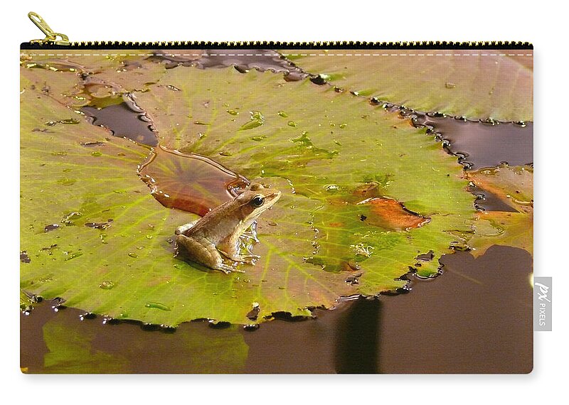 Frog Zip Pouch featuring the photograph The Frog by Evelyn Tambour