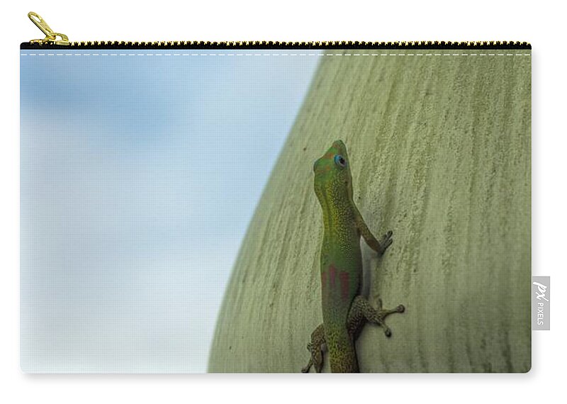 King Palm Zip Pouch featuring the photograph The Gecko And The King by Peggy Hughes