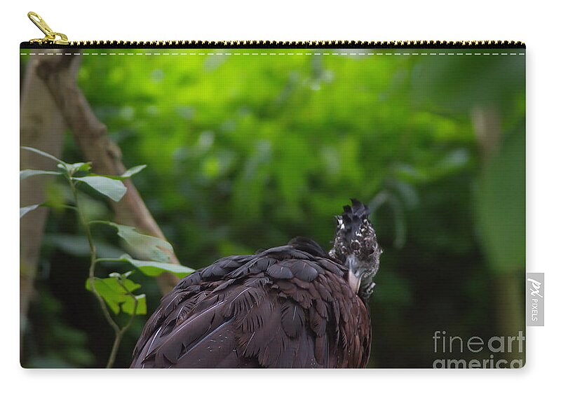 Michelle Meenawong Zip Pouch featuring the photograph The Great Curassow 2 by Michelle Meenawong