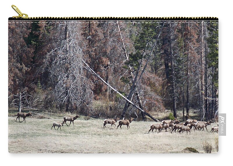 Elk Zip Pouch featuring the photograph The Herd by Susan Kinney