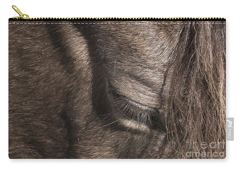 Horse Zip Pouch featuring the photograph The Kind Eye by Joann Long