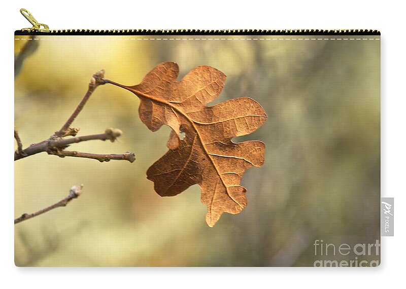 Photography Zip Pouch featuring the photograph The Last Leaf by Sean Griffin