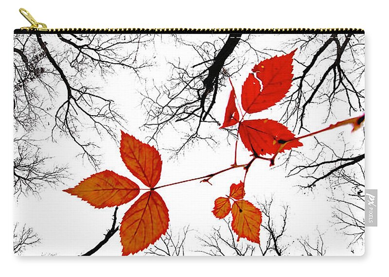 2009 Zip Pouch featuring the photograph The last leaves of November by Robert Charity