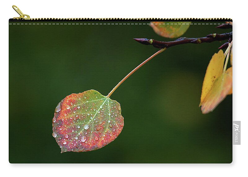 Autumn Zip Pouch featuring the photograph The Latter Rain by Jim Garrison