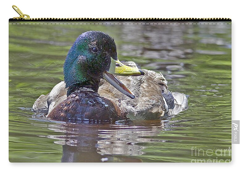 Mallard Zip Pouch featuring the photograph The Laughing Duck by Sharon Talson