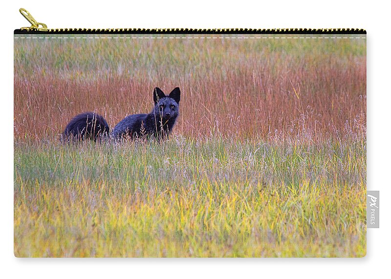 Black Fox Photograph Zip Pouch featuring the photograph The Layered Look by Jim Garrison