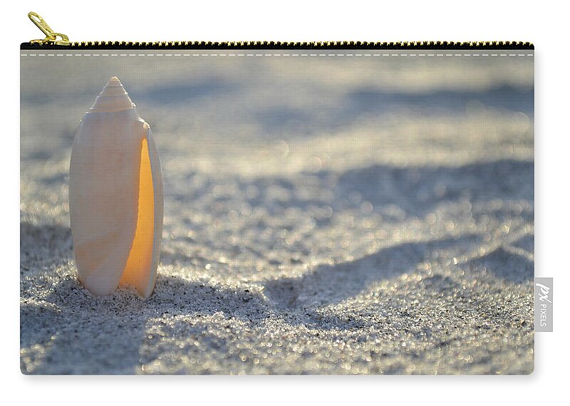 Seashell Zip Pouch featuring the photograph The Lettered Olive by Melanie Moraga