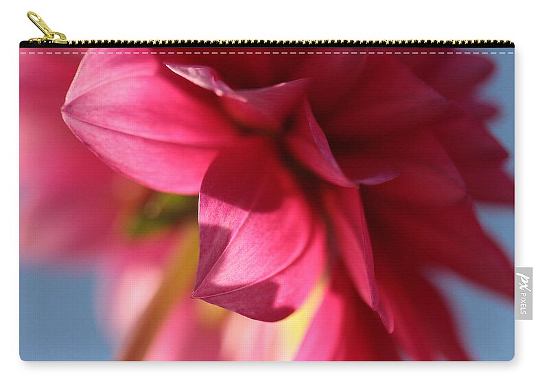 Dahlia Zip Pouch featuring the photograph The Light Touch by Connie Handscomb