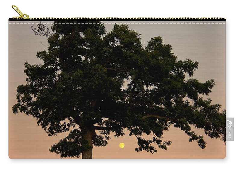 Blue Ridge Parkway Zip Pouch featuring the photograph The Lone Tree at Doughton Park by John Harmon