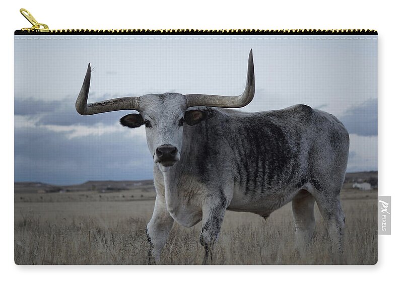 Longhorn Zip Pouch featuring the photograph The Longhorn by Ernest Echols
